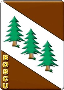 Bandiera di Boscu